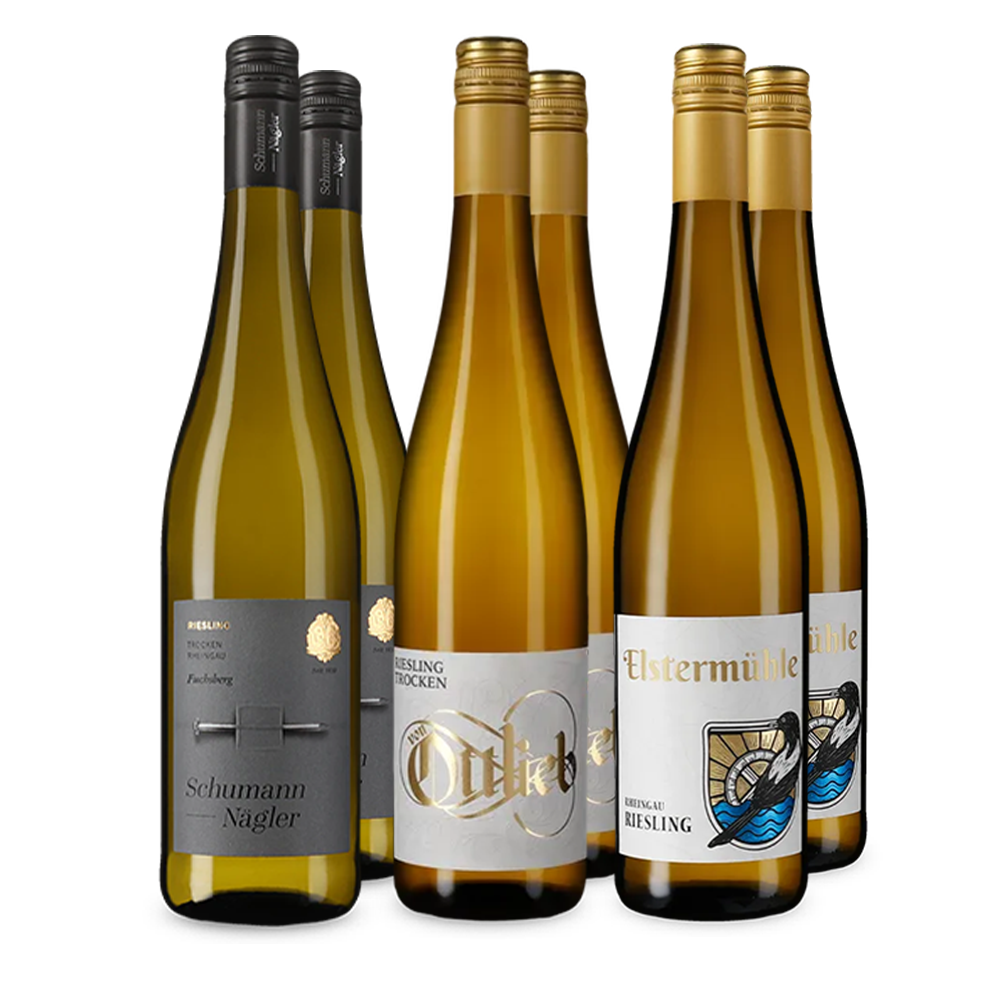 Riesling im Entdeckerpaket – Gold