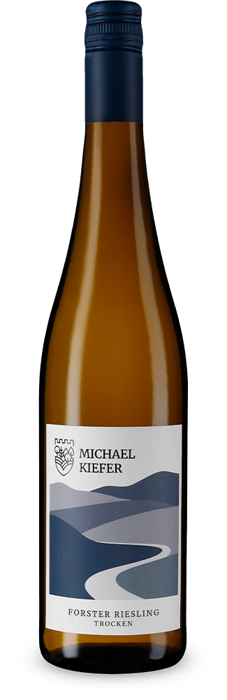 Michael Kiefer Forster Riesling trocken 2024 – Gold
