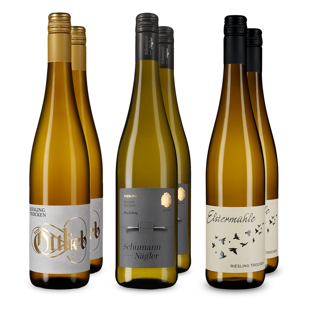 3x2 Riesling Entdeckerpaket