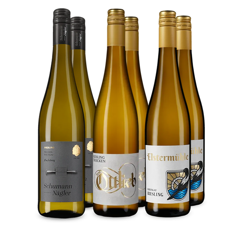 Riesling im Entdeckerpaket – Gold
