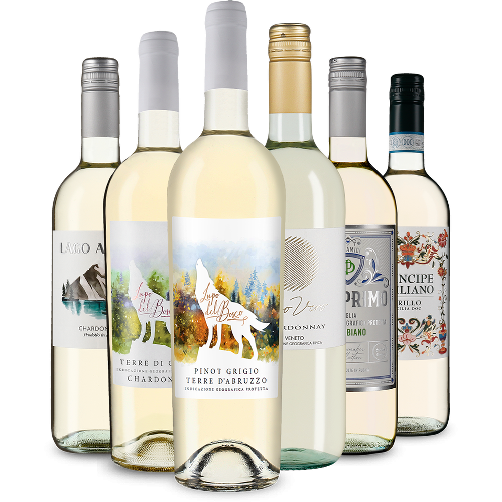 Italienischer Weißwein: unsere Verkostungsstars im Paket