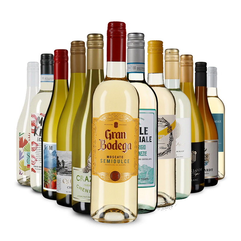 Die Weißwein-Vielfalt im Kennenlernpaket