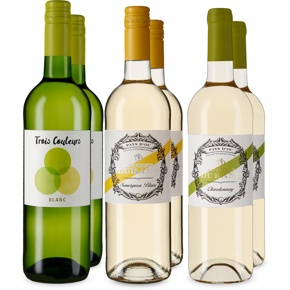 Frankreich: Weißwein-Entdeckerpaket – Gold