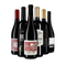 Rotwein international: das Goldsieger-Paket