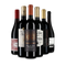 Rotwein international: das Goldsieger-Paket – Gold