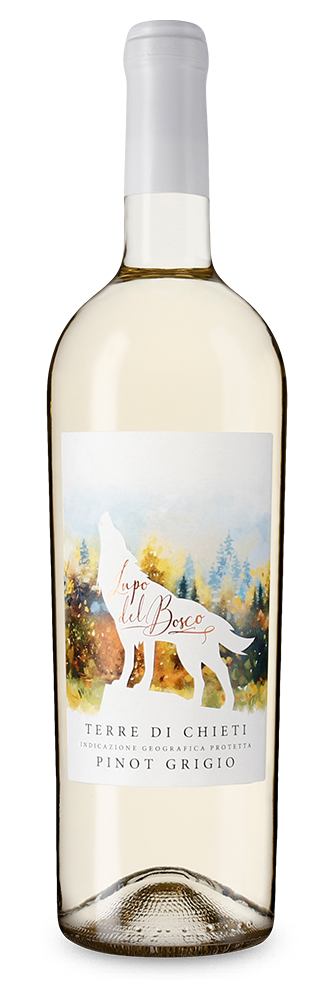 Lupo del Bosco Pinot Grigio 2023