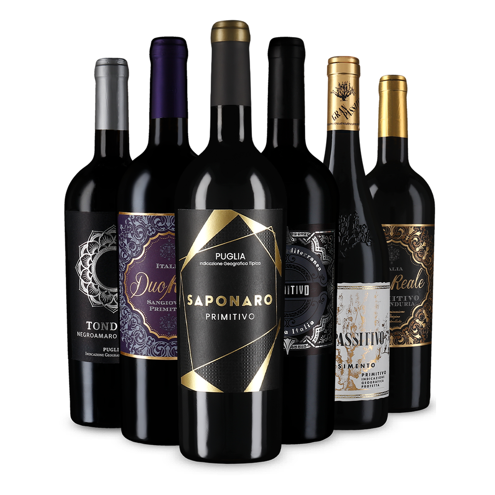 6x1 Primitivo Highlights