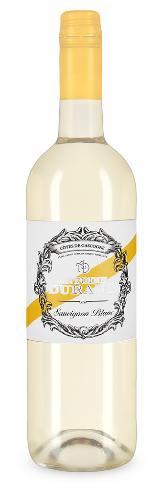 Sauvignon Blanc 2023 – Gold