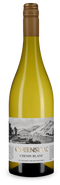 Chenin Blanc 2024