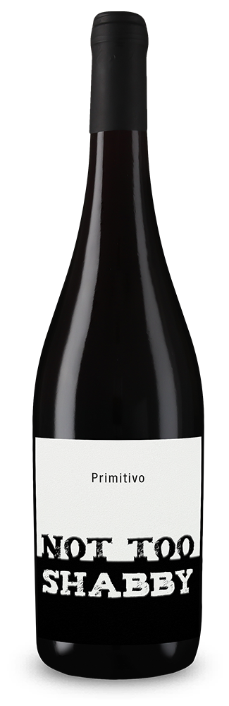 NOT TOO SHABBY Primitivo 2023 – Gold