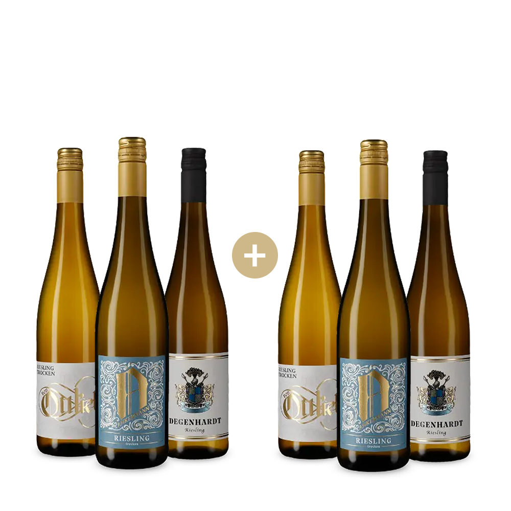 3+3 Pfälzer Riesling-Highlights – Gold