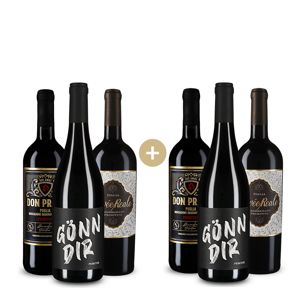 3+3 Flaschen: Unsere Primitivo-Stars – Gold