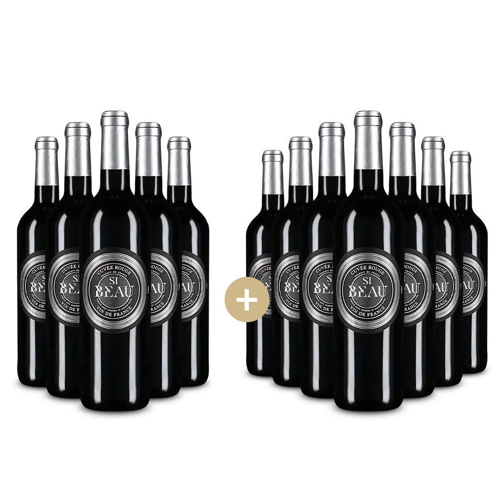 5+7 Flaschen Cuvée Rouge 2024 – Gold