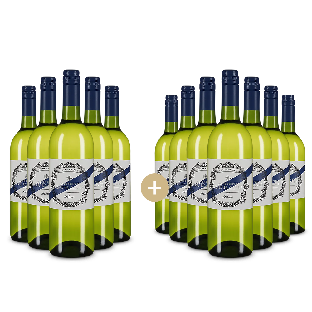 5+7 Flaschen Blanc 2024 – Gold