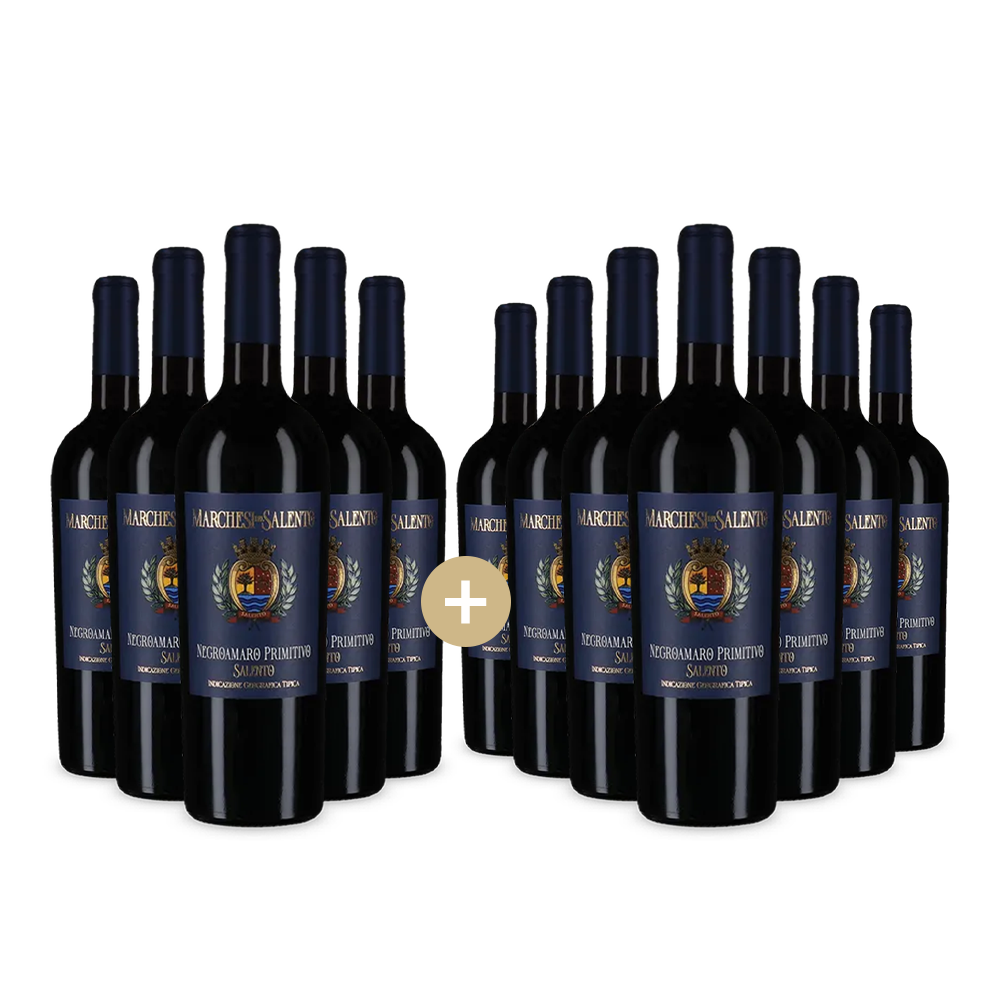 5+7 Flaschen Negroamaro Primitivo 2024 – Gold