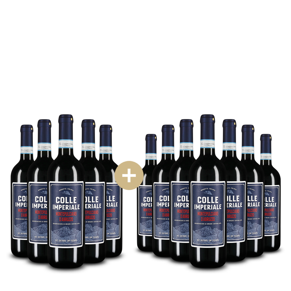 5+7 Flaschen Montepulciano d'Abruzzo 2024
