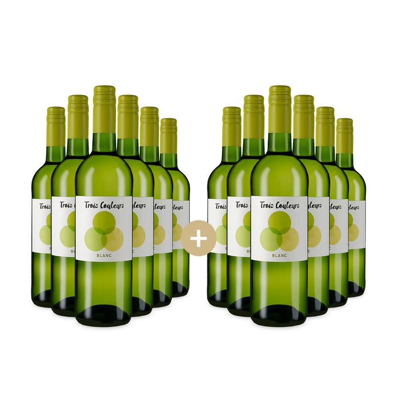 6+6 Flaschen Blanc 2024 – Gold