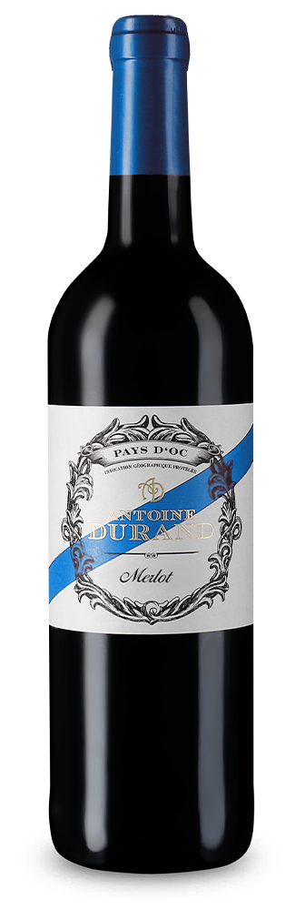 Merlot 2025