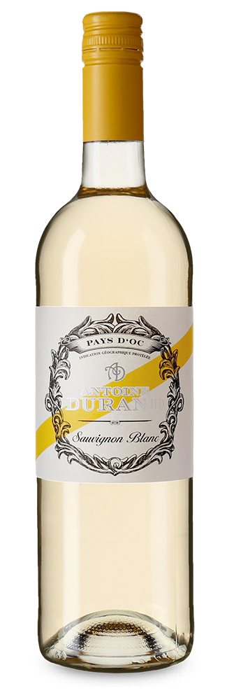 Antoine Durand Sauvignon Blanc 2025 – Gold