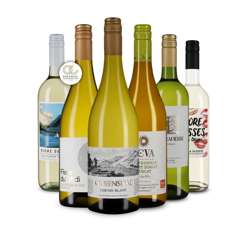 Internationale Weißwein-Stars im 6er-Paket – Gold