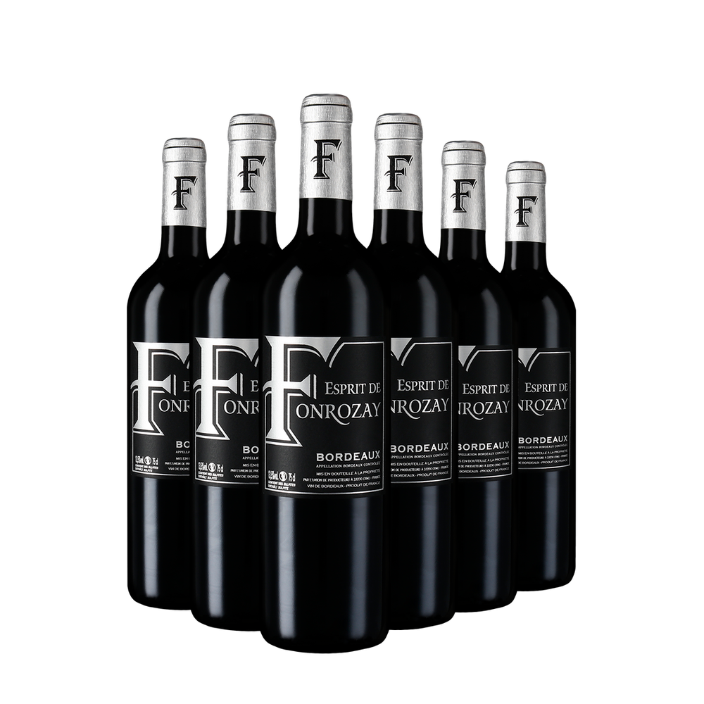 6 Flaschen Bordeaux 2022
