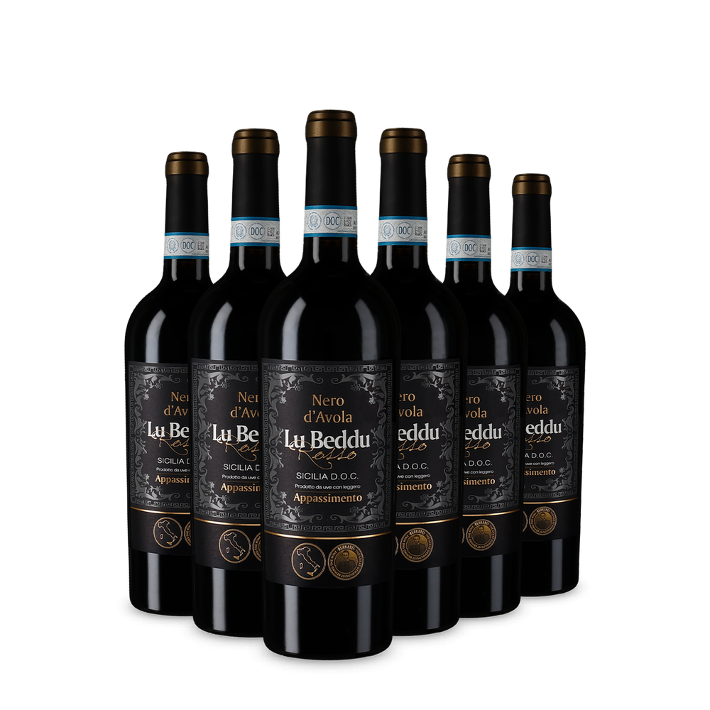 6x Nero d’Avola Sicilia Appassimento 2023