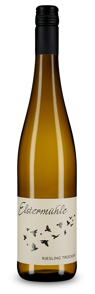 Riesling trocken 2025