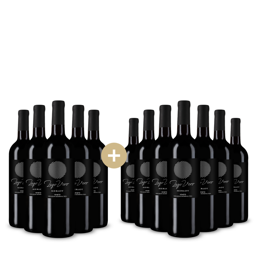 5+7 Flaschen Merlot Veneto 2025