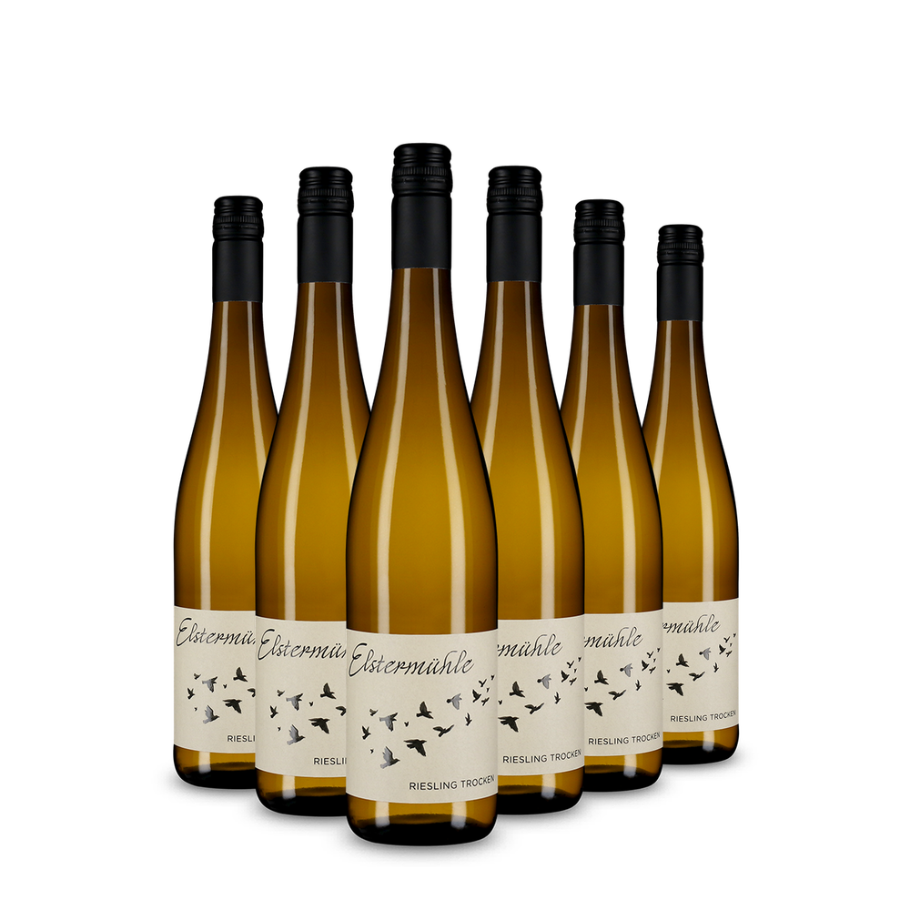 6x Riesling trocken 2025
