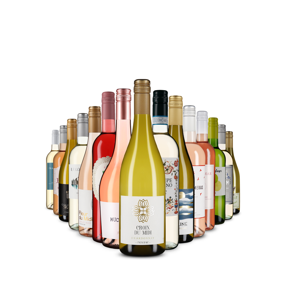 15x1 Weißwein- & Rosévielfalt: Unsere Favoriten