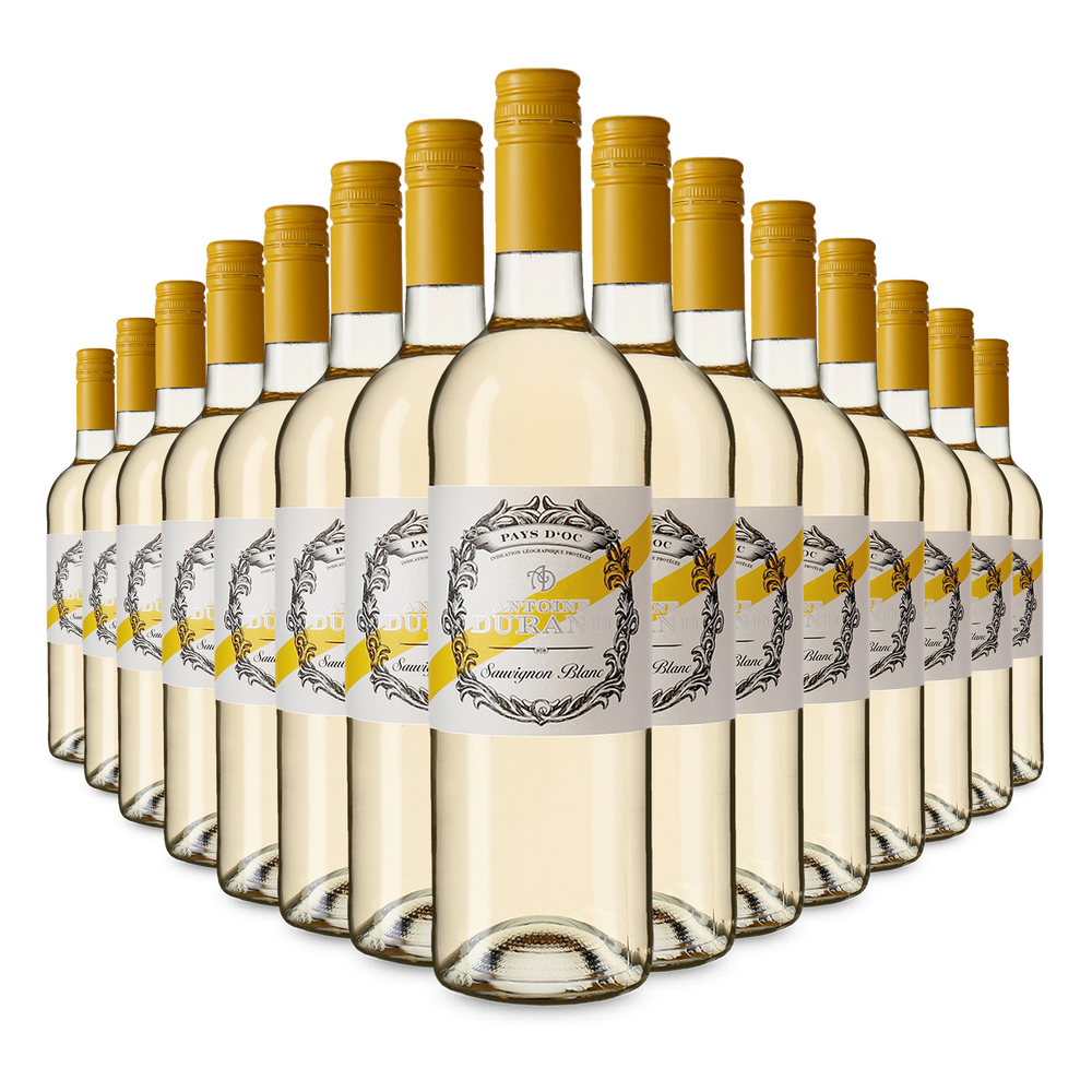 15x Sauvignon Blanc 2025