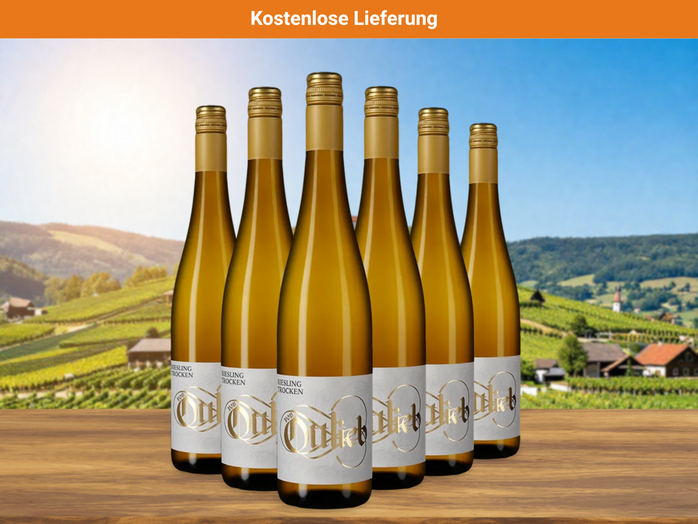 6x Riesling trocken 2025